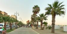 Guide to Cyprus - Palm Trees Promenade